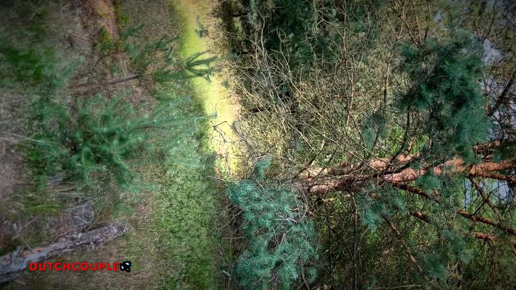 Dutch Milf Anal Fuck In Woods Outdoor Fucking With Cumslut Dutchcouplecontent 1080P