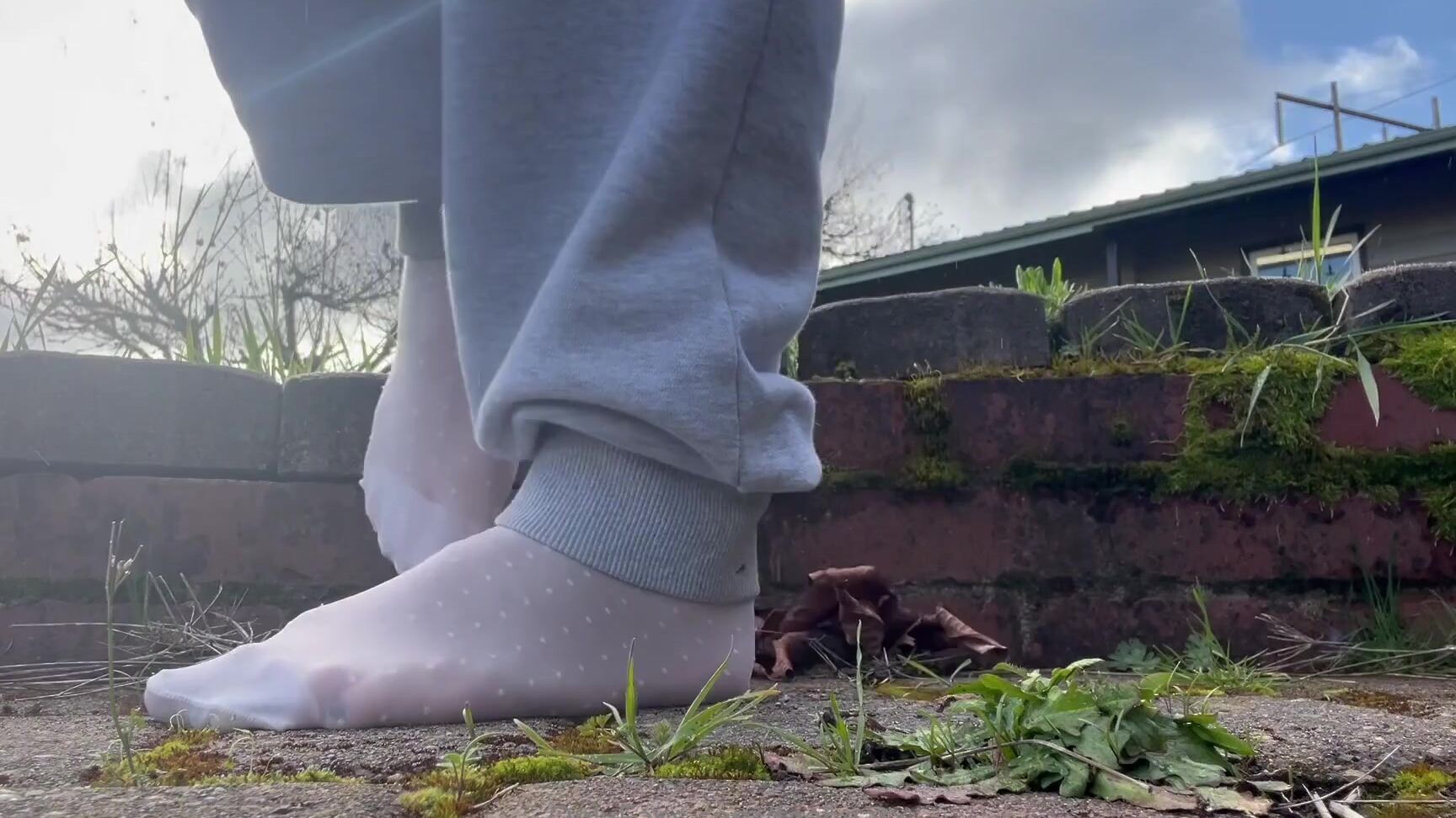 Faebearx Nicknamed Faebearx 03 22 2025 Onlyfans Video Kick U Wb 0Jkw