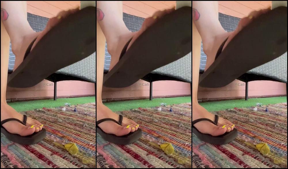 Latina Goddess Nicknamed Latinafeetgoddesss 05 10 2025 Onlyfans Video Do You Like Flip Flops