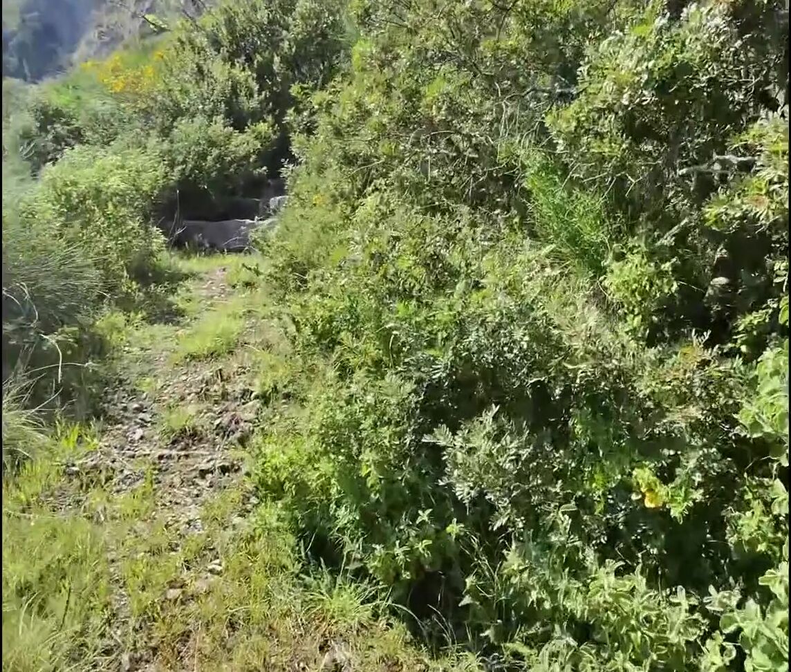 Adventure Juntos Nicknamed Adventurejuntos 08 07 2025 Onlyfans Video So I Was Looking Through So Old Videos On My Phone This Morning And I Found