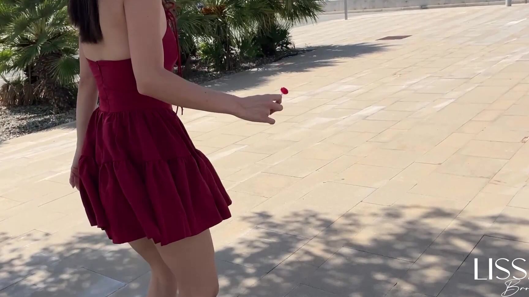 Lissa Brown Excessive Public Vibrations Train Outdoor Toy