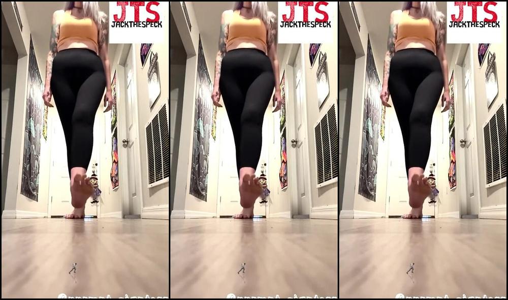 Peppermint Giantess Nicknamed Peppermintgiantess 08 15 2025 Onlyfans Video Giantess Tingz W Jackdaspeck