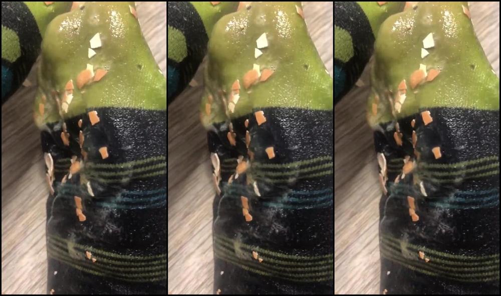 Kathrynne Feetgoddess 04 08 2024: Dirty Socks In Crushed EGG - Onlyfans Video