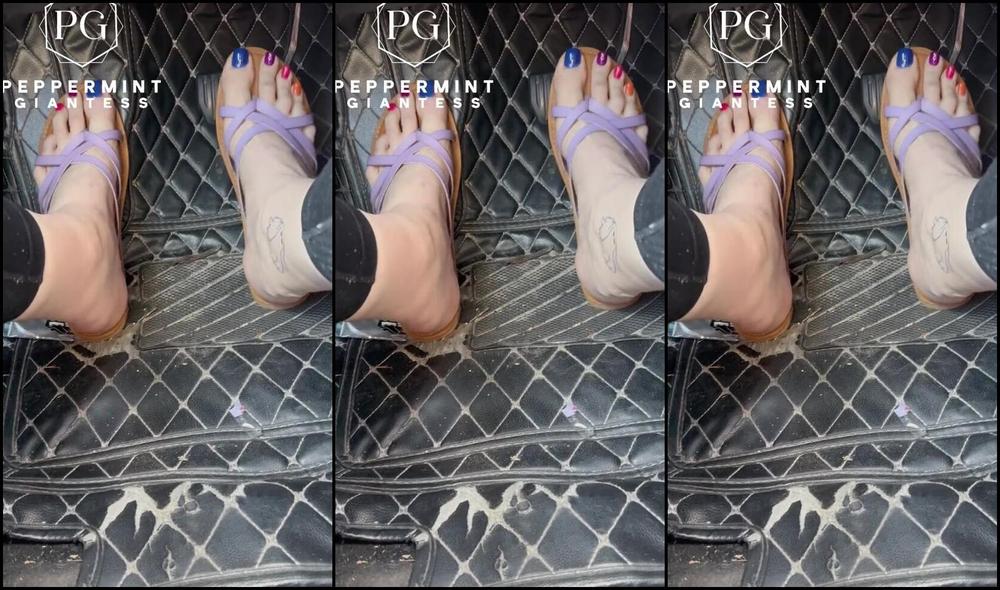 Peppermint Giantess Nicknamed Peppermintgiantess 01 07 2026 Onlyfans Video Im In Park