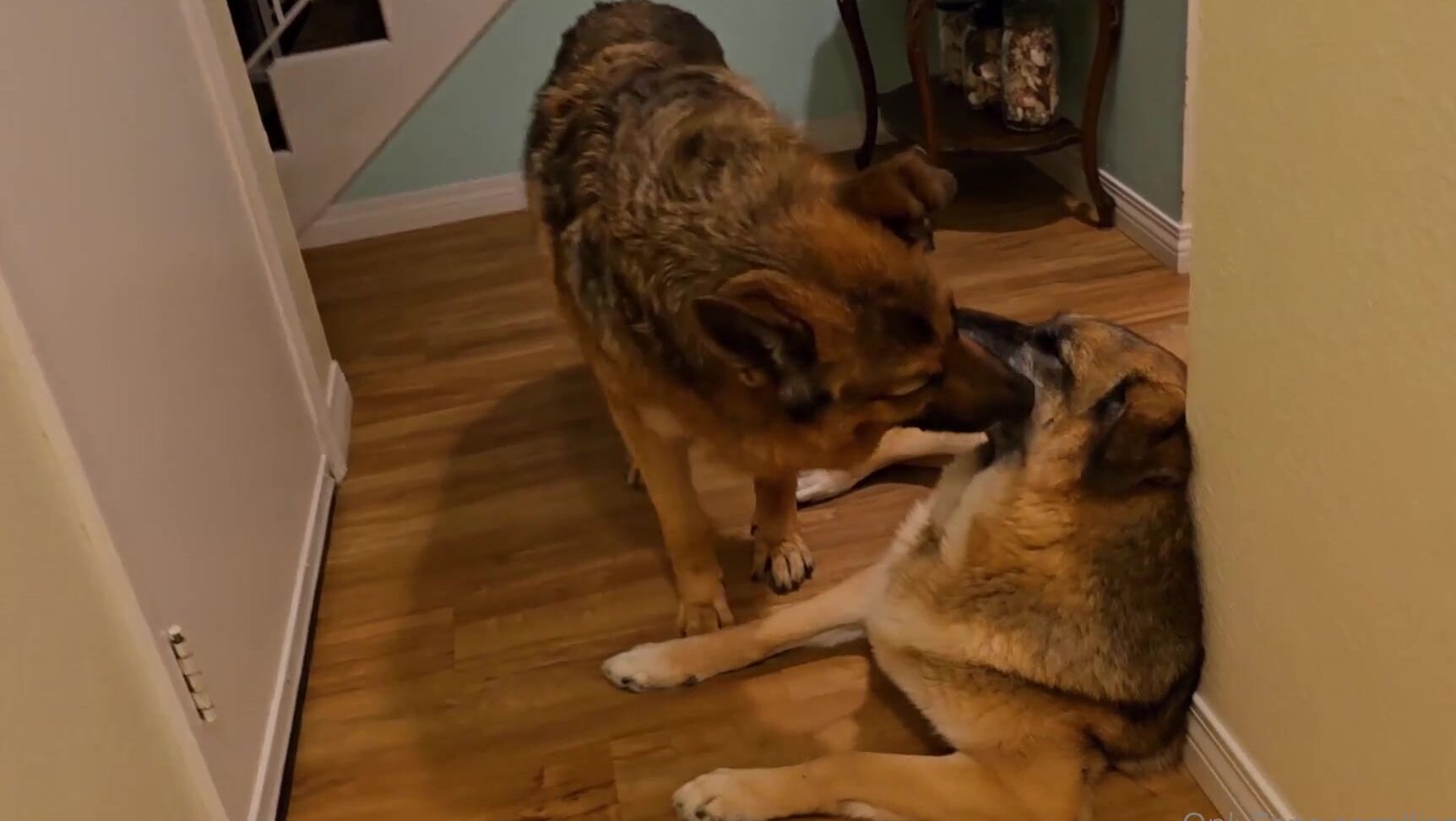 Lisa Asmr's Onlyfans Exclusive: Future Youtuber Gets Her First Time on Camera