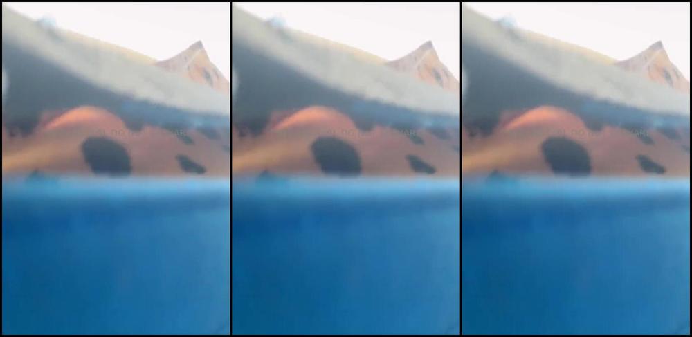 Thegassygirl Nicknamed Thegassygirl 07 17 2025 Onlyfans Video Who Is Ready For This