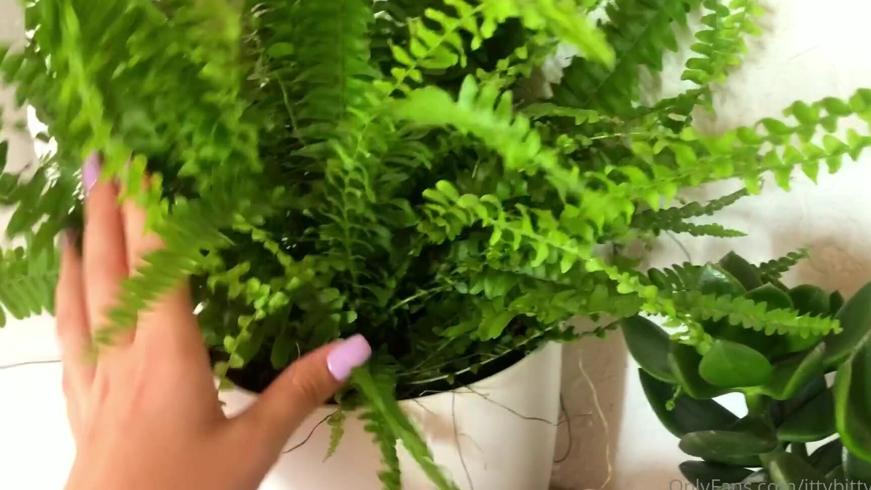 Ittybittykath This Is Just One Big Green Flex But Kathy If No One